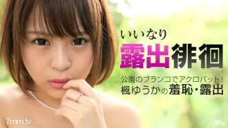 日本のポルノ