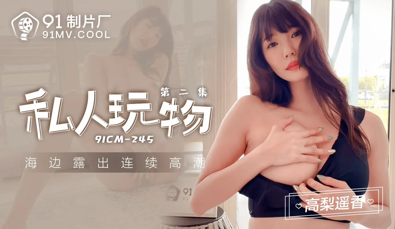 91CM-245