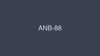 ANB-88