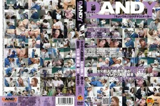 DANDY-227