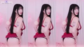 KBJ-24040269