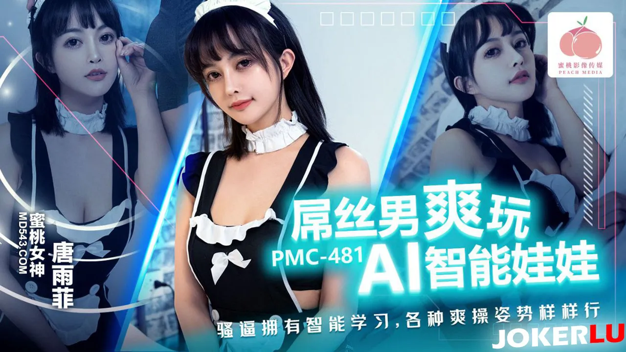 PMC-481