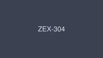 ZEX-304